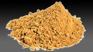 Coriander Powder