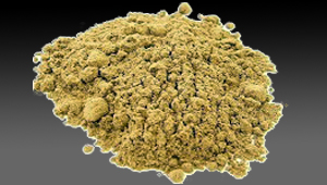 Fenugreek Powder